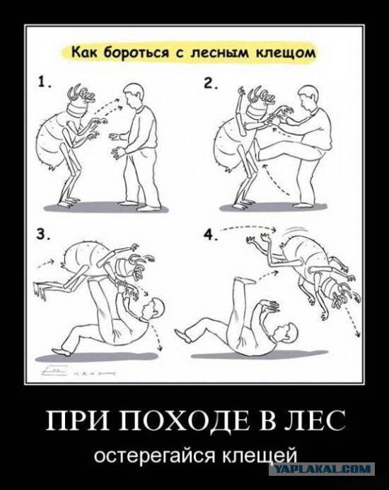 Футбол Чемпионат России 2016-17. Кубок России,РФПЛ,ФНЛ. Часть XVI