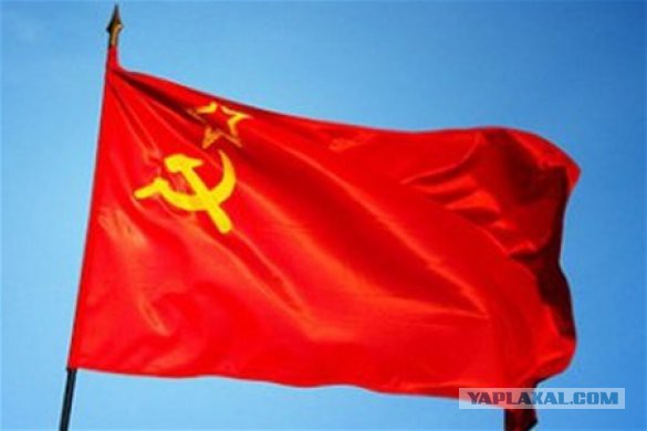 Правила ношения георгиевских ленточек ужесточили в России