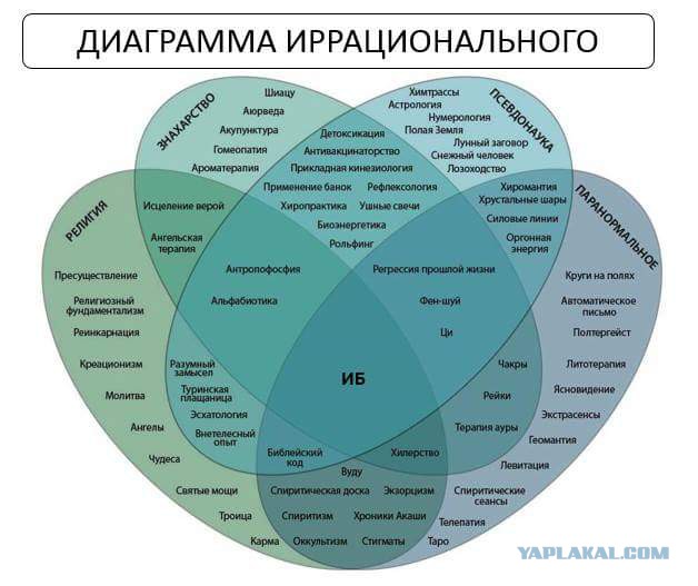 Подборка интересных и веселых картинок