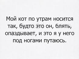 21 снимок, в которых вся ирония фразы «Доброе утро!»