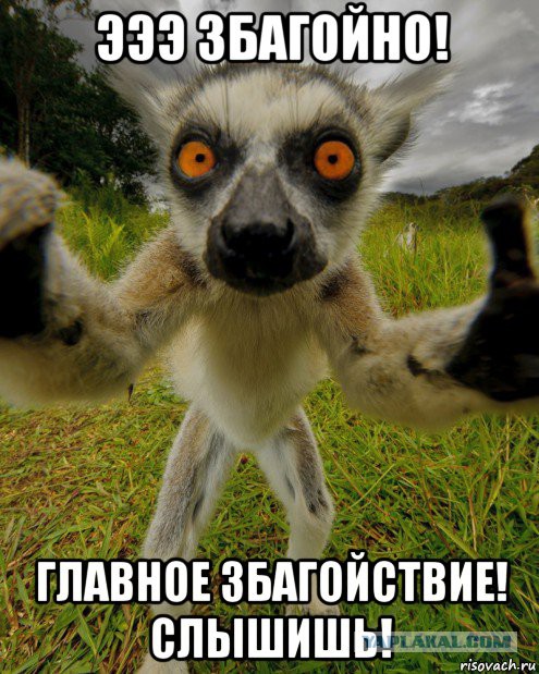 Народ требует путина на теледебаты!