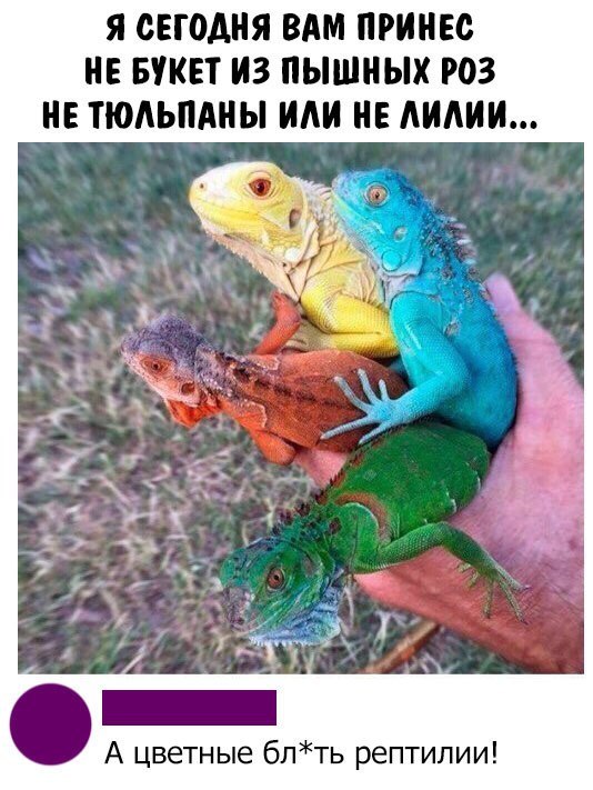 Смешные комментарии из социальных сетей 01.06.2018