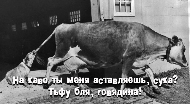 Интересные и редкие ретро-фотографии