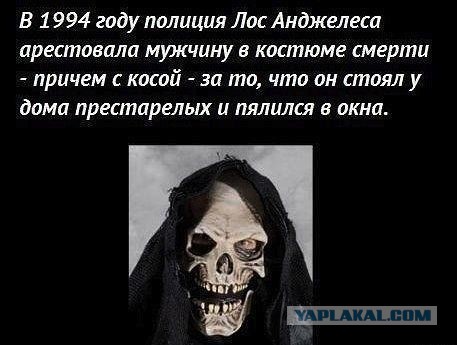 Чернушка-чернучшечка-чернушенция