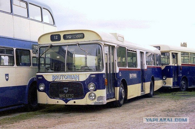 Игра на ЯПе: Угадай АВТО-5