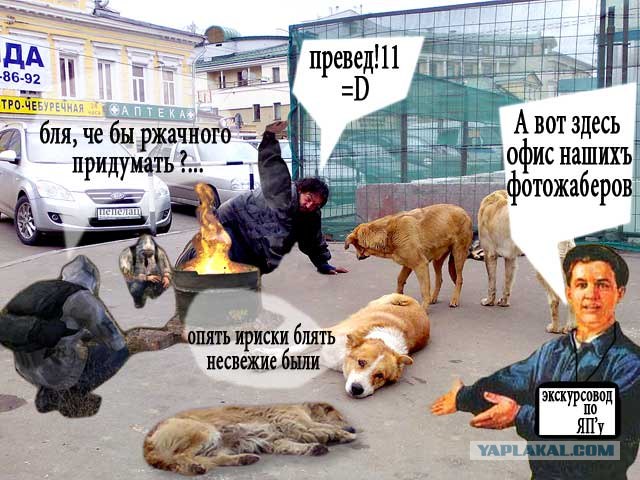Лучший друг человека.... или наоборот!?