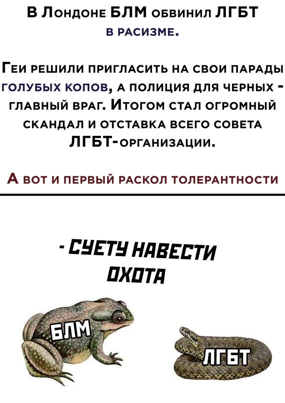 Весёлый полтишок 31.03