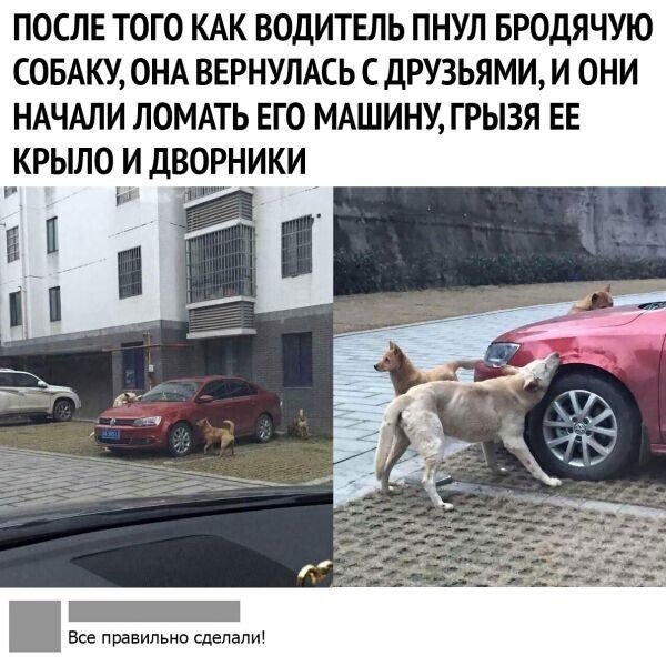 Картинки и мемы для настроения 029