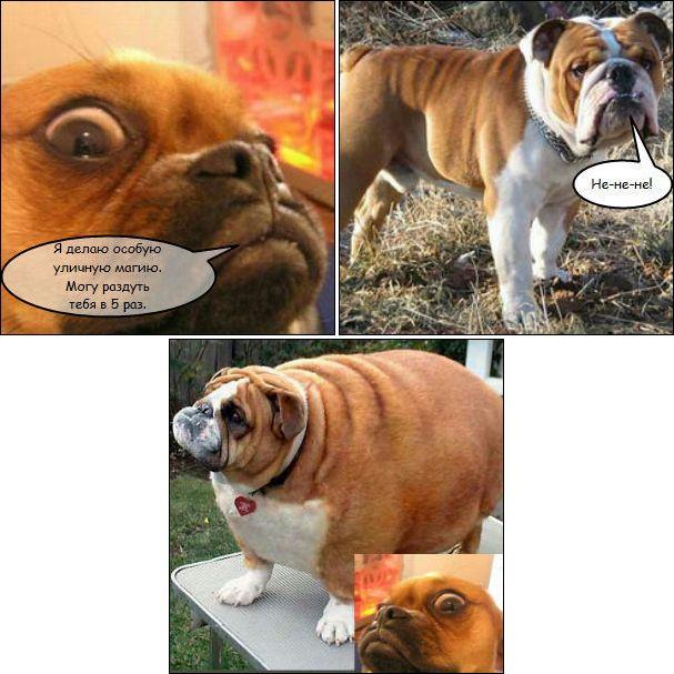 Картинки и мемы для настроения 04.08.2021