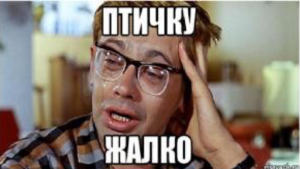 Охота на фазана с первобытной ловушкой