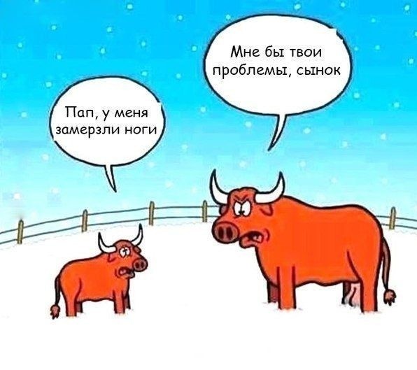 Сельское хозяйство, а именно сперма быков из стана ворога