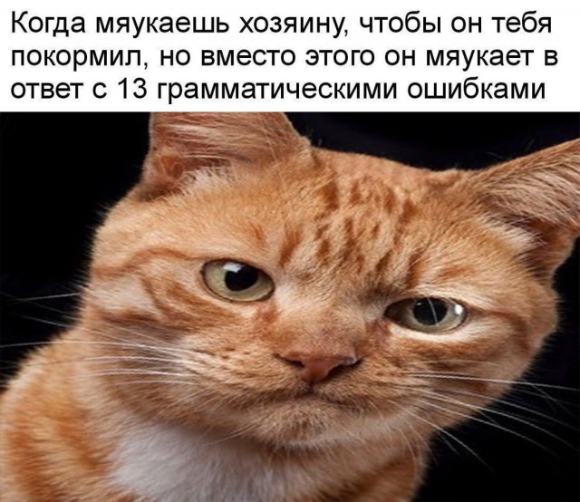 Так себе картинки 07.04.22