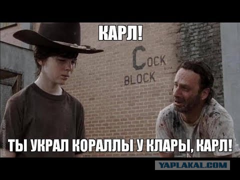 Канцлер Австрии Карл Нехаммер пригрозил отобрать у «Газпрома» крупнейшее в республике газовое хранилище