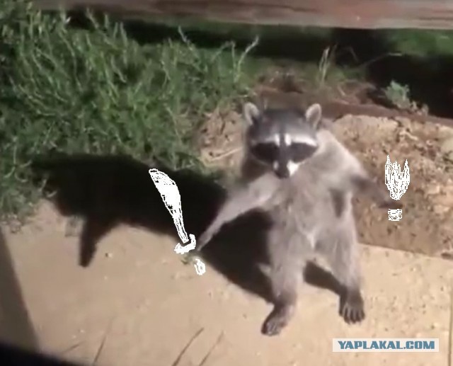 Попались, паразиты