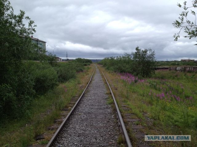 Москва-Воркута.Или туда и обратно.