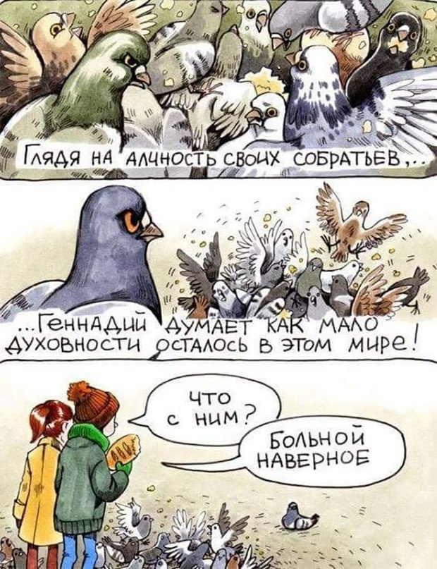 Немного картинок для настроения - 112