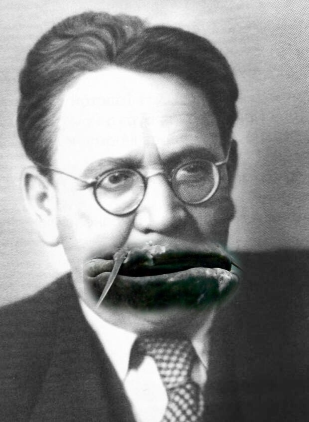 Сомоеды