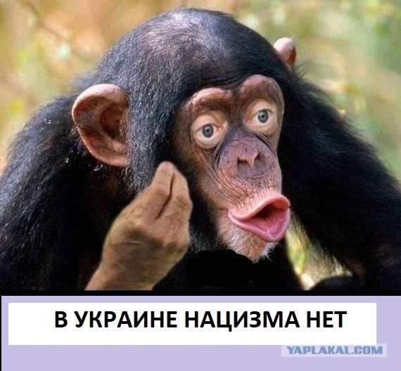 Пора воювати, пора убивати".
