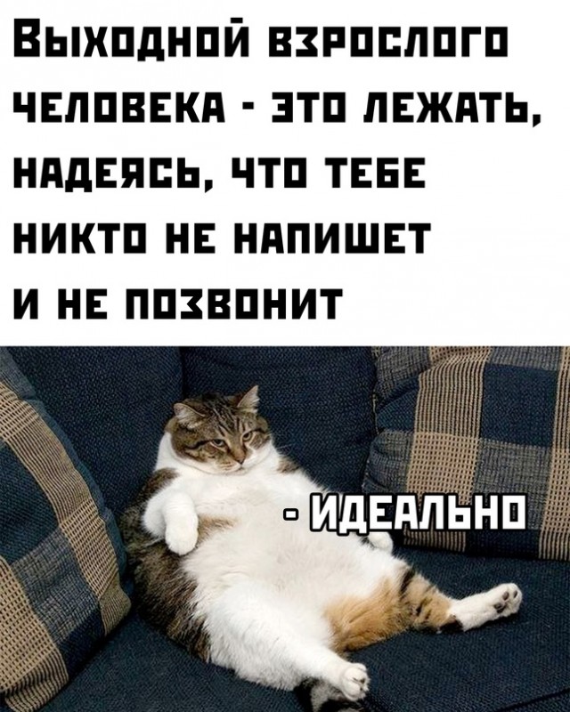Картинки и мемы, всем хороших выходных