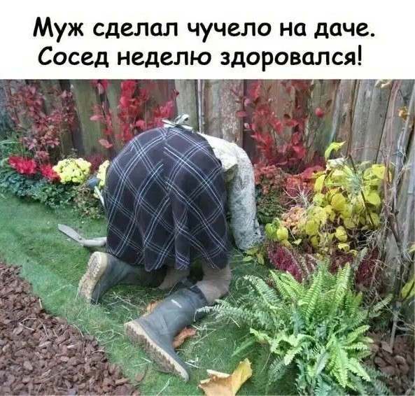 А что там женщины? Чем занимаются? И во что одеваются?