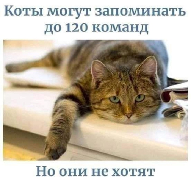 Картинки и мемы, всяко разно - 175