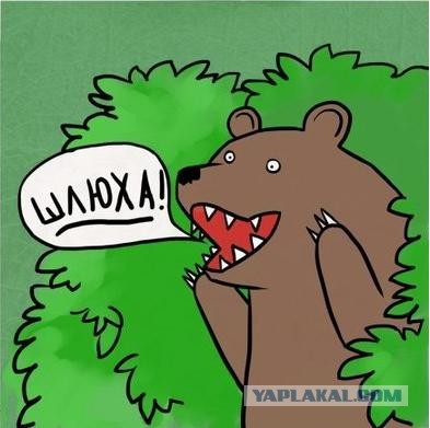 Даже не знаю что сказать.....