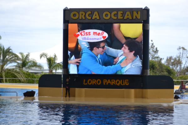 Хочу дачу на канарах!