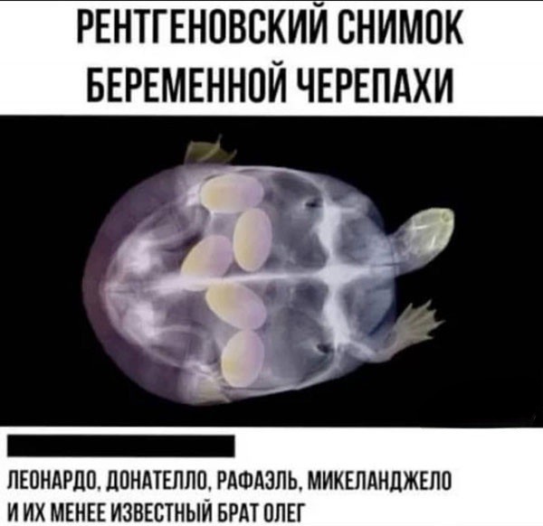 Деграднём?