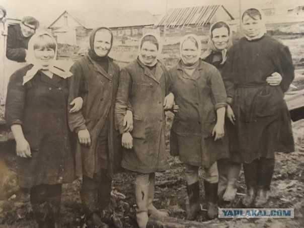 Ностальгия по работящим женщинам