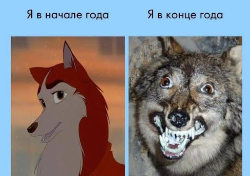 Что вложим, то и пожнём