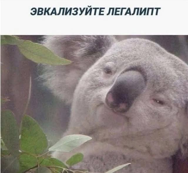 Маленькая пятница 23.07