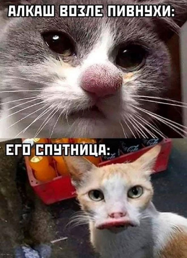 Понедельник всегда внезапен