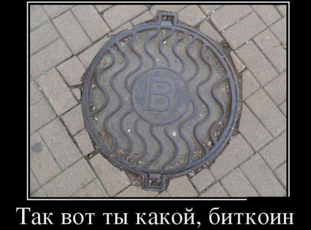Контрабандист попытался сбежать от таможенников в аэропорту Шереметьево