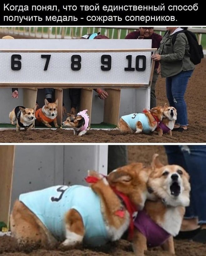 20585003.jpg