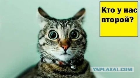 Смягчить наказание за покупку наркотиков хотят в России, — «Коммерсантъ»