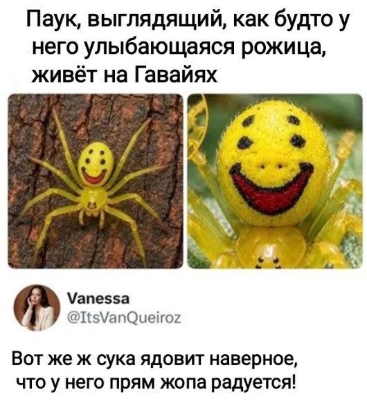 Веселое настроение в картинках 30.07.26