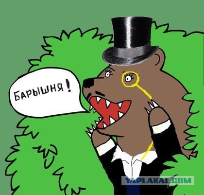 Медведи почти на все случаи жизни