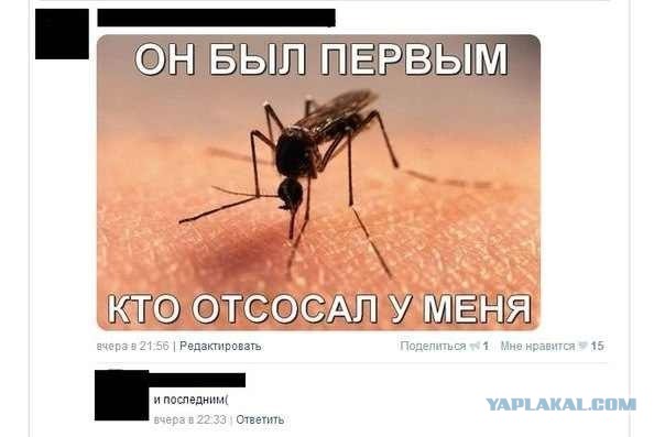 Комментарии и картинки из соц. сетей