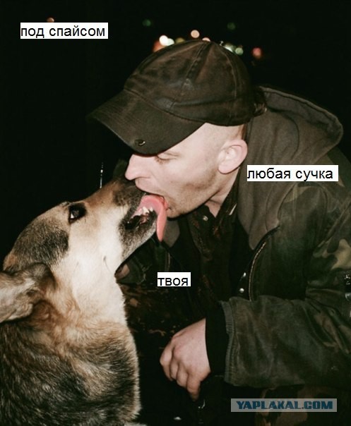 Смешные картинки, добавляйте свои!