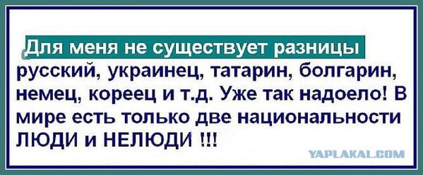 Пара историй о "толерантности"
