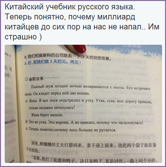 Пучок смешных картинок