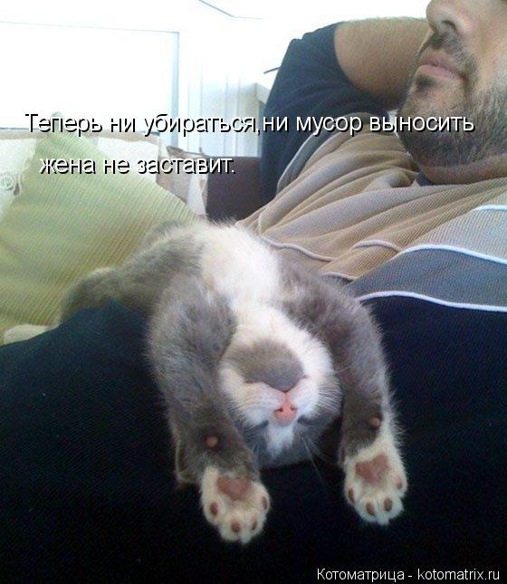 Мой кот, мои правила!