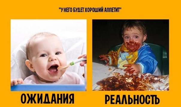 Забавные картинки из сети
