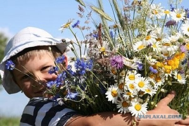 Я сегодня не такой как вчера