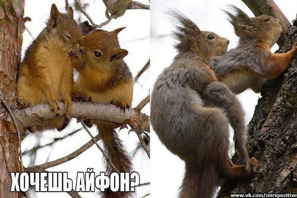 Подборка приколов
