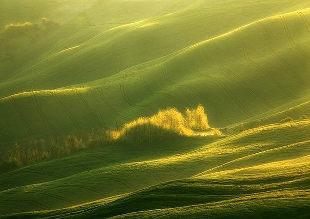 Разное картинки и т.д