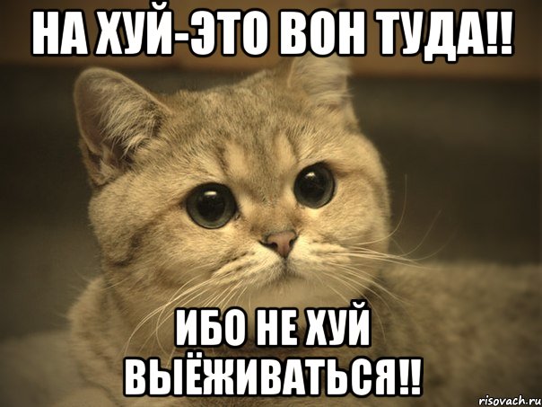 Живодёрка летит в Хабаровск под конвоем