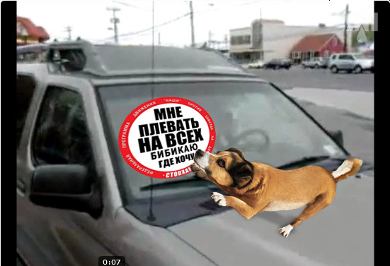 Нетерпеливый пёс, собака зовёт хозяина