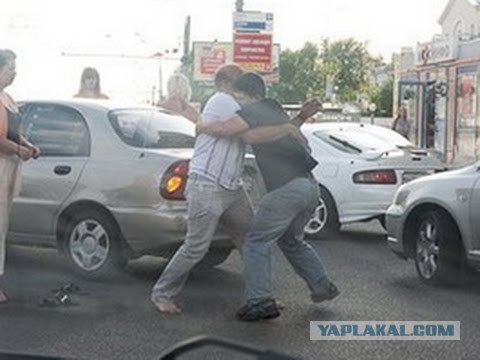 Сурки устроили разборку на дороге