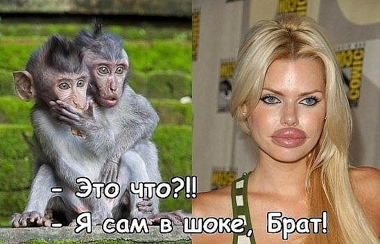 Подборка интересных и веселых картинок